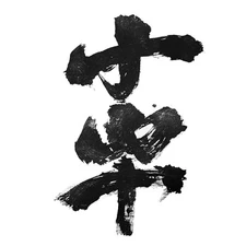 Chinese Calligraphy Art V5 Vinyl Car Decal Sticker – Waterproof & UV-Resistant