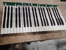 Vintage Organ Keys 44 Note 3.5 Octave Set MAKE OFFER Measures 24in x 13in