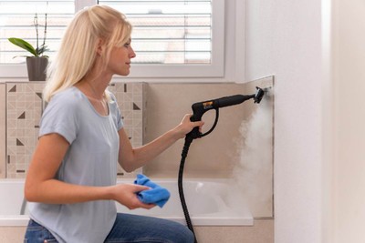 WAGNER Farbsprühsystem Universal Sprayer W575 Flexio online kaufen  