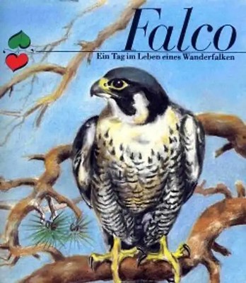 Falco. Ein Tag im Leben eines Wanderfalken