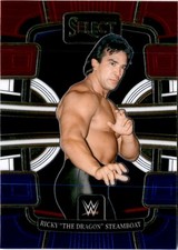 2024 Panini Select WWE #93 Ricky 