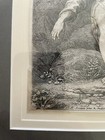 Picture 4 of 9