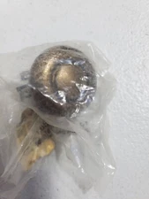 Vintage Belwith Small Brass Round Knobs