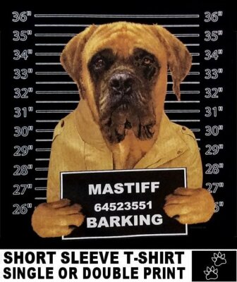VERY COOL MASTIFF MUG SHOT FUNNY DOG ART SHORT SLEEVE T-SHIRT WS782