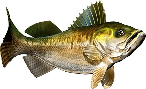 Walleye Beautiful Vinyl Sticker Fish Decals for Boat Car Vehicle Truck Fishing - Bild 13 von 13