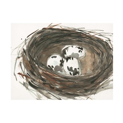 'Nesting Eggs I' Canvas Art by Samuel Dixon 24x32