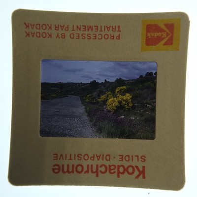 1982 Kodachrome 35mm Slide Spain Avila El Hoyo de Pinares Road Landscape