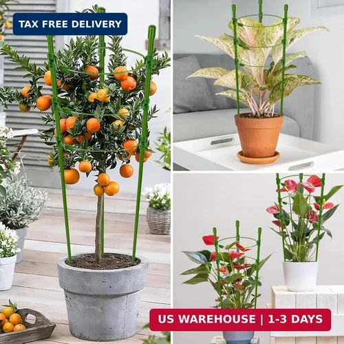 Legigo Plant Support Cages - Thumbnail 2