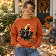 Spooky Black Cat Halloween Sweatshirt, Pumpkin Witch Broom Fall Shirt