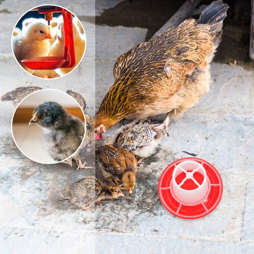 4pcs Automatic Chicken Feeder and Waterer Kit for Poultry-GH - Picture 3 of 11
