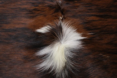 COWHIDE RUG TRICOLOR 6'x5' Ft - Cow Skin Rug Leather Cow Hide - Picture 8 of 10