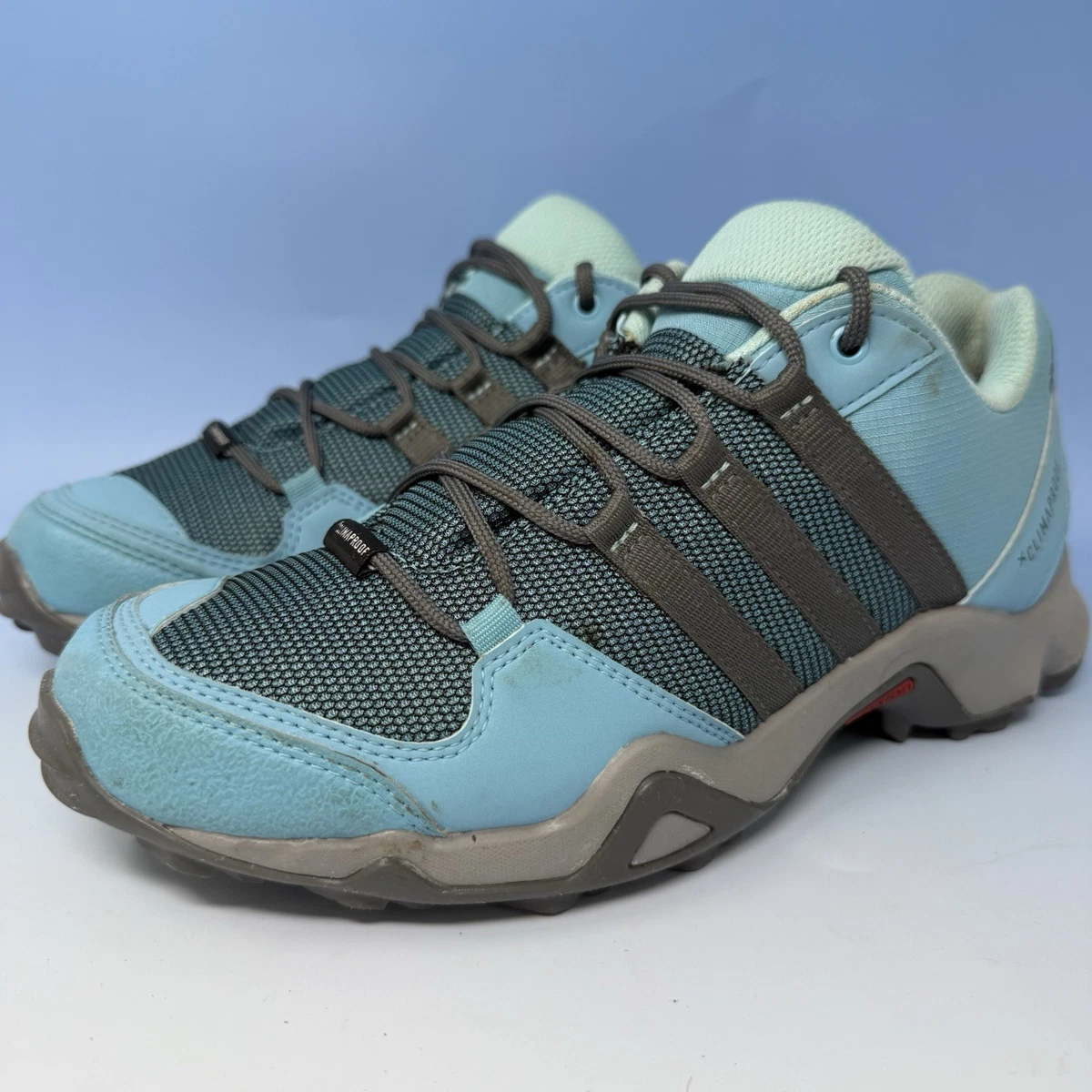 adidas gazelle silver green womens Adidas Outdoor AX2 Hiking Shoe - Men's