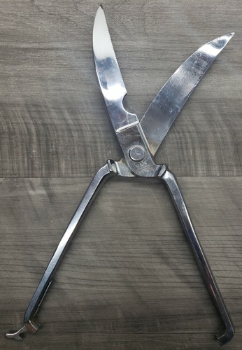B & B Poultry Shears, Made In Italy, Chrome Finish, In Original Wooden Case - Picture 4 of 12