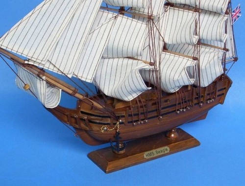 Charles Darwin's HMS Beagle Model Ship 14" - Picture 4 of 6