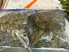 Dry Organic Fig Leaves Hojas De Higo Organicas Seca Tea