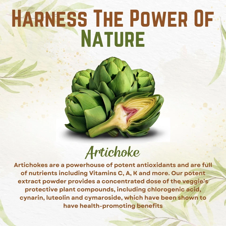 Artichoke Extract Powder Potent 5% Cynarin Artichoke Powder 4oz. Artichoke Leaf - Image 3 of 4
