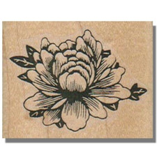 Mounted Rubber Stamp, Flower In Bloom, Rose,Nature,Garden,Spring,Leaf,Flowers,sm
