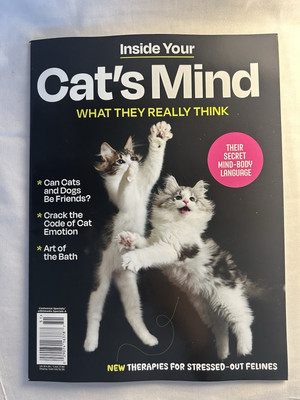 Inside Your Cat s Mind Magazine What They Really Think Cat Emotion & Dog Friends