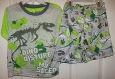 Dinosaur Raptor Sleep Flame Resistant Short Pajama PJ Set Boys Size 4 NWT