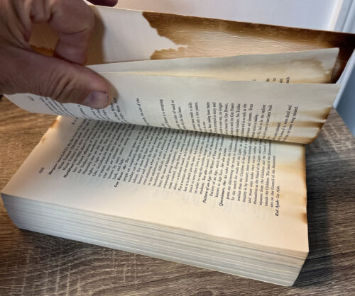 THE EYE OF THE WORLD / THE GREAT HUNT by Robert Jordan SC 1st Ed- FIRST PRINTS!! - Foto 7 di 7