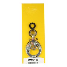 Arrowhead Starter Brush Plate Kit SMU9163 249...
