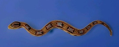 Vintage 1995 Great Explorations Rattlesnake 5'' Snake Diorama 