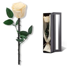 Flowers for Delivery Prime, Preserved Roses Flower Gifts for Women, Real Rose...