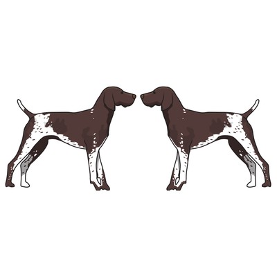 German Shorthaired Pointer Dog Decal Dog Lover Decor Vinyl Sticker