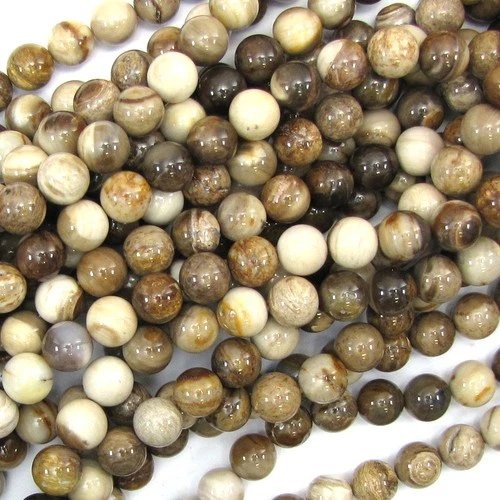10mm petrified wood agate round beads 15.5" strand S3