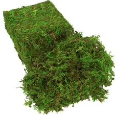 Fake Moss for Plants Indoor 16OZ Green Moss for Crafts Artificial Moss for Fa...