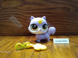 littlest pet shop fortune cookie
