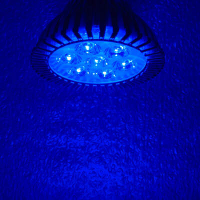 21W PAR30 Royal Blue 450nm~455nm LED Lamp Spot Light Bulb Plant Aquarium E26 E27