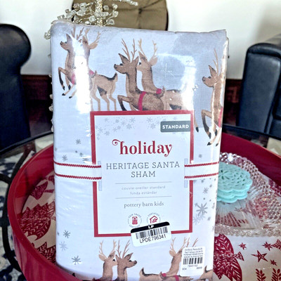 Pottery Barn  Holiday Christmas Heritage Rudolph Santa Party Disney Pillow SHAM