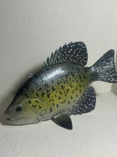Spearing Decoy Wooden Handcrafted & Painted Crappie BEAUTIFUL