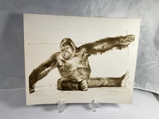 Gargantua The Great, Circus Gorilla, 8” X10”  Original  Publicity Photo