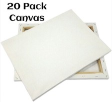 20 Pack 9x16" Artist Canvases Pre-Stretched Cotton Duck Double Acrylic Gesso