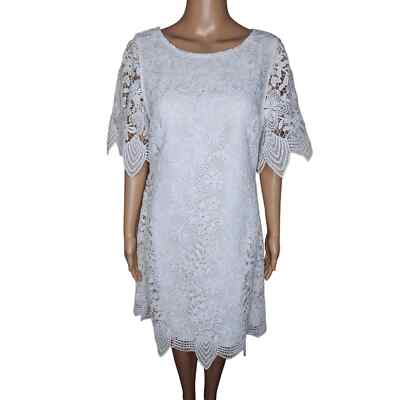 chinese dress ladies Anthropologie Blue Eyelet Button Up Dress with Slip- Size L – The Saved  Collection main image 1