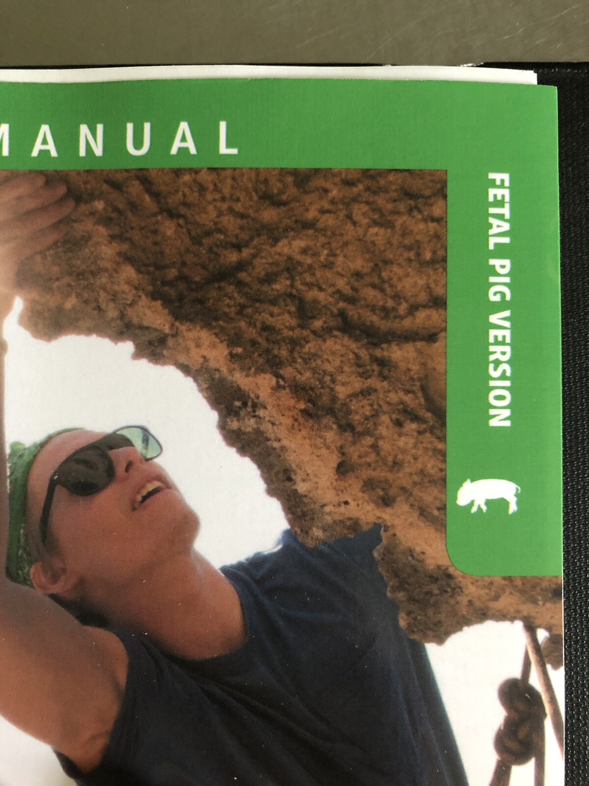 Human Anatomy And Physiology Lab Manual Second Edition Fetal Pig