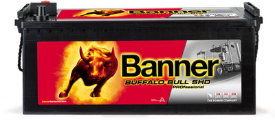 LKW Batterie 145Ah Banner Buffalo Bull SHD PRO 64503 12V 800A für DAF Fendt MB