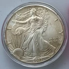 2007 American Silver Eagle 1 Troy Oz .999 Silver