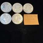 lot of 5 morgan silver dollars