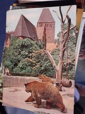 vintage postcard postally used bear germany