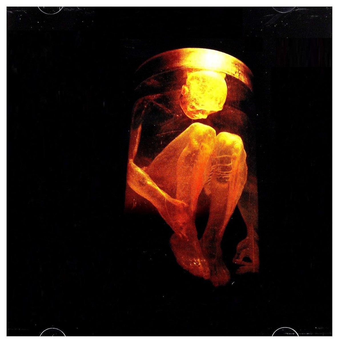 Alice in Chains - Nothing Safe - CD Compilation - NEW & SEALED | eBay