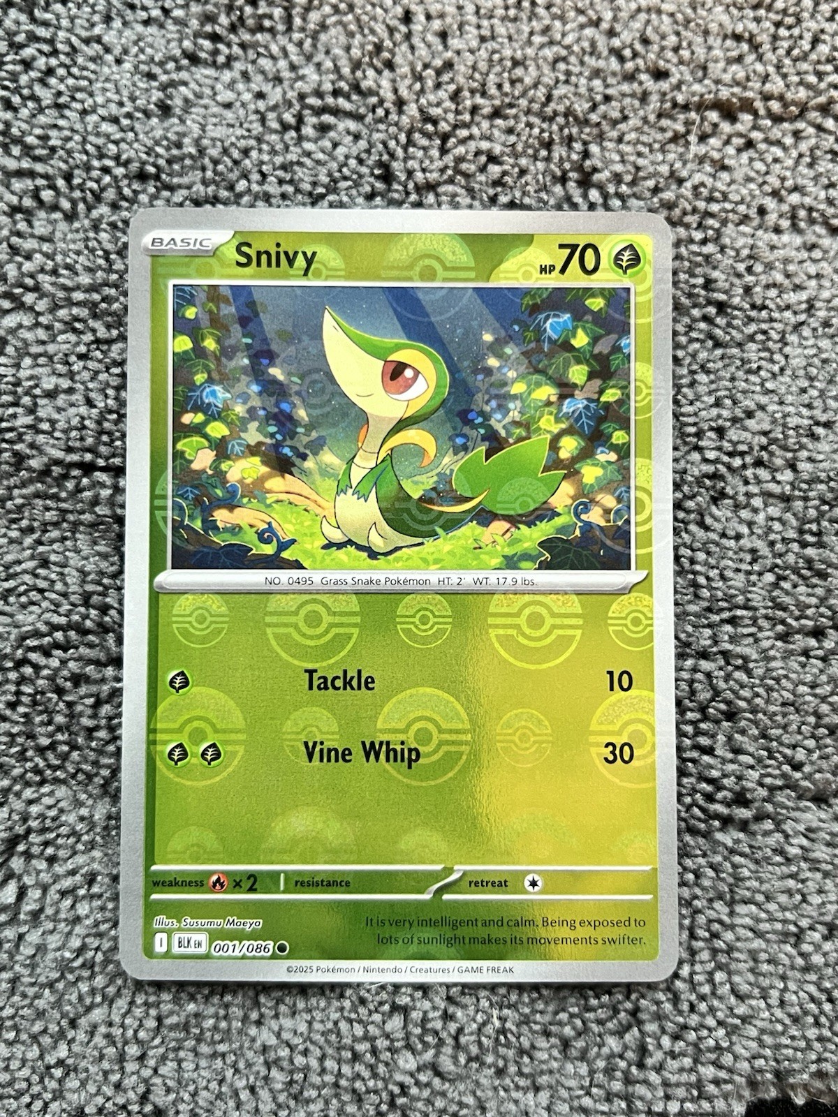 Snivy 001/086 Poke Ball Holo Black Bolt English Pokemon TCG - NM