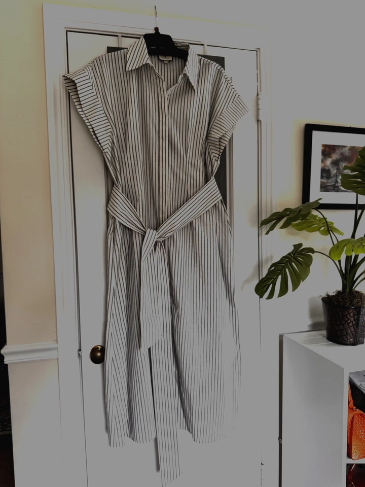 Tuckernuck Linen Stripe Mini Callie Dress With Belt XXXL Chic Preppy Minimalist  - Image 2 of 4