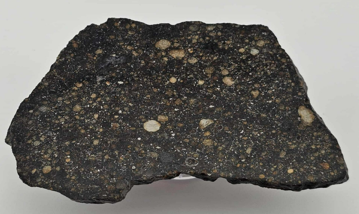 NWA 15662 Ordinary Chondrite LL3 - Polished Meteorite Slice 26.76g