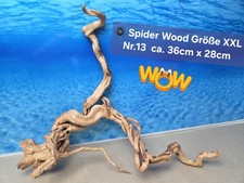 👋XXL Moorkien - Spiderwood Aquarium Wurzel