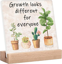 Inspirational Office Desk Decor Sign Gifts for Women Social Worker Motivational