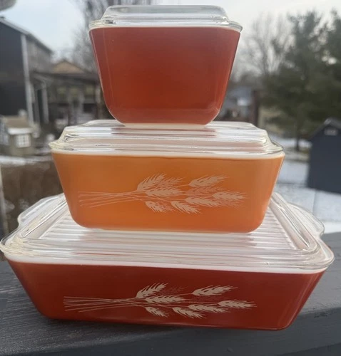 PYREX 6 pc Tan wheat on Orange Rust AUTUMN HARVEST Refrigerator, Lid Set MINT