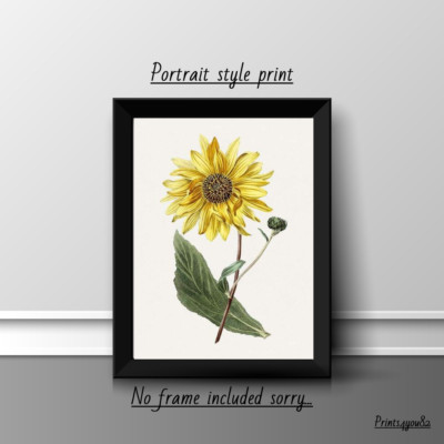 SONNENBLUME VINTAGE A4 DRUCK POSTER BILD WANDBILD WOHNDEKO GESCHENK NEU